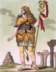 Standartenträger, Illustration aus 